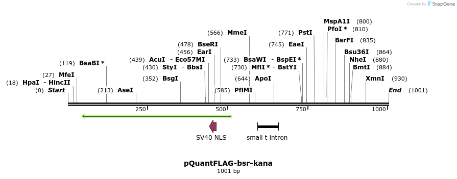 66574_map