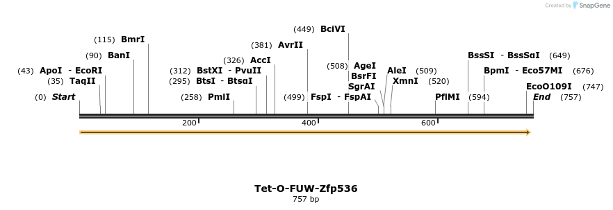 66577_map