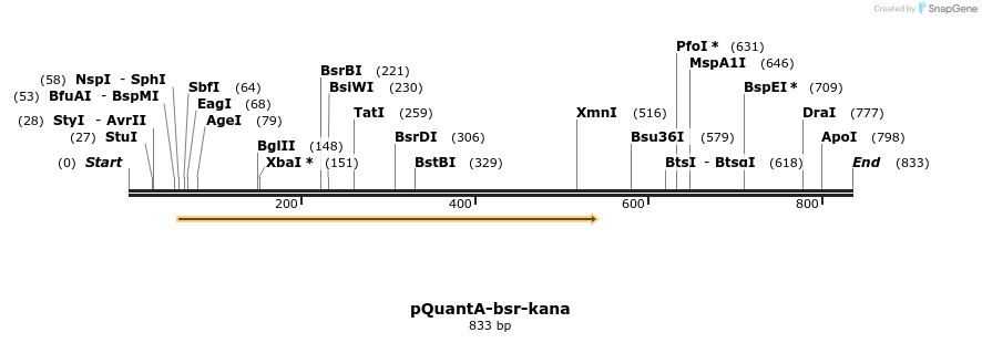 66578_map