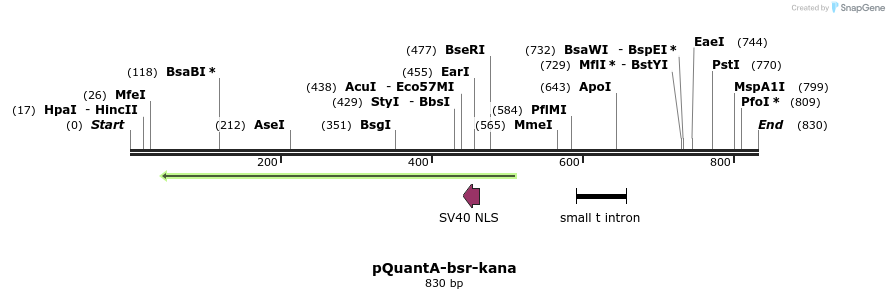 66579_map