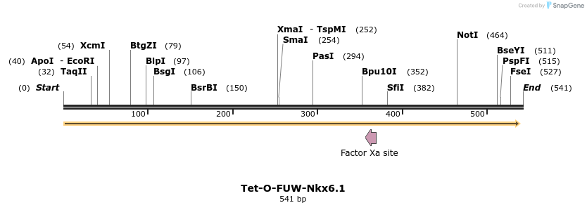 66580_map