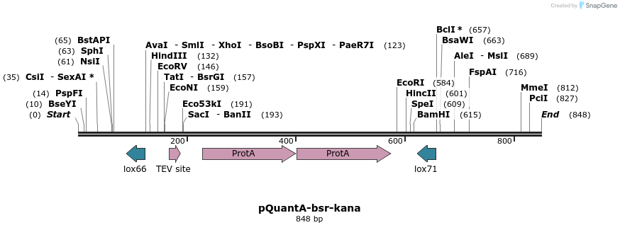 66581_map