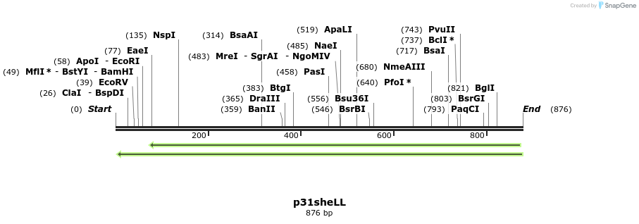 66584_map