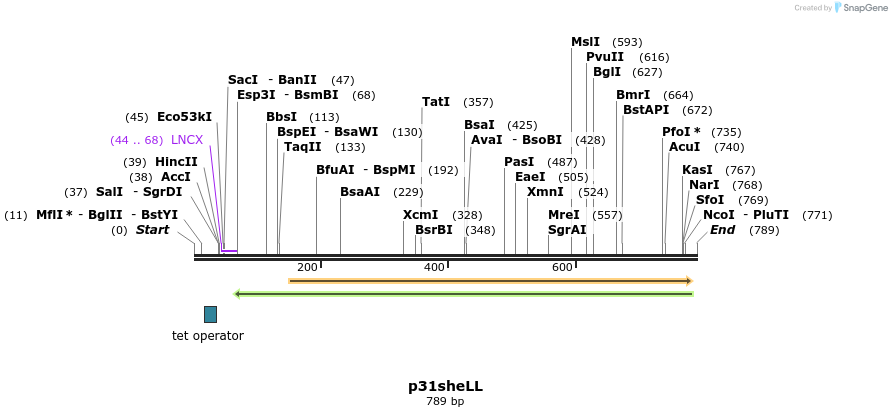 66586_map