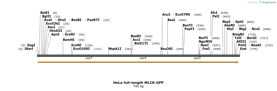 66587_map