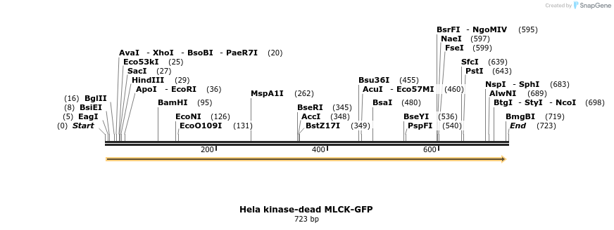 66589_map