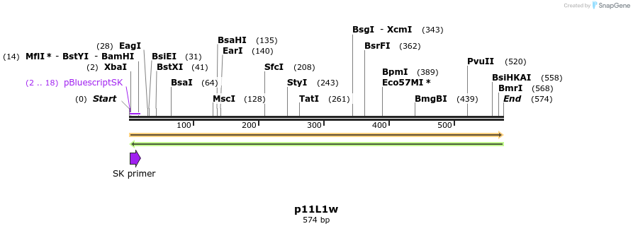 66591_map