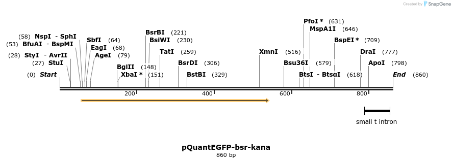 66596_map