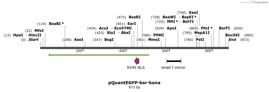 66597_map