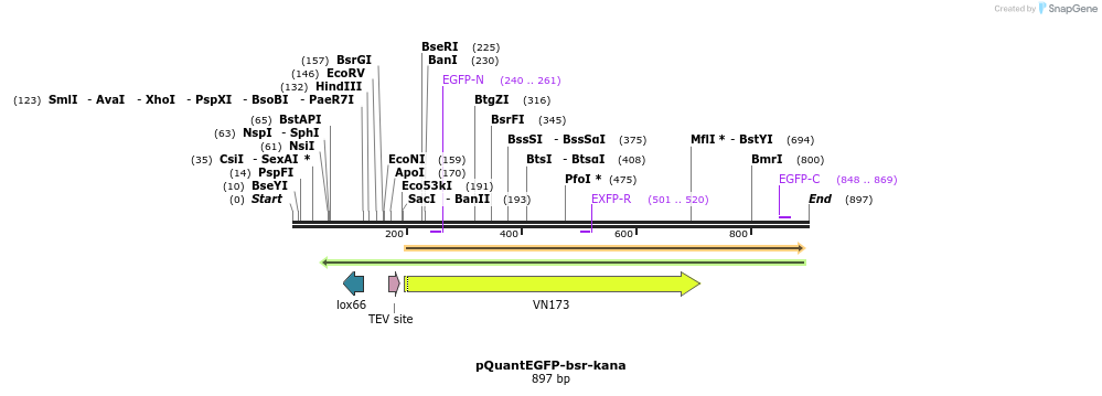 66598_map