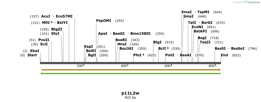 66599_map