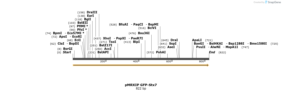 66613_map