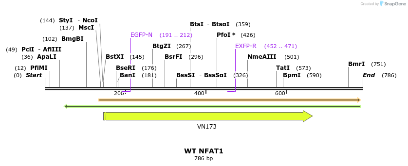 66615_map