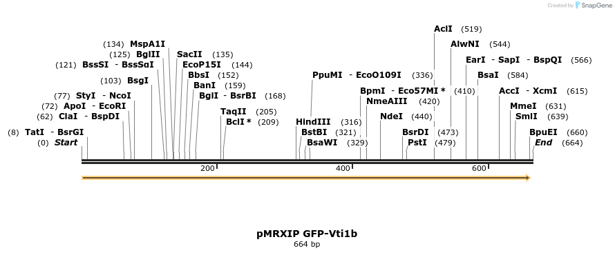 66616_map