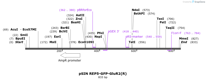 66619_map