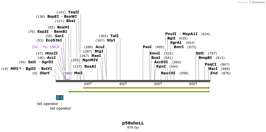 66620_map