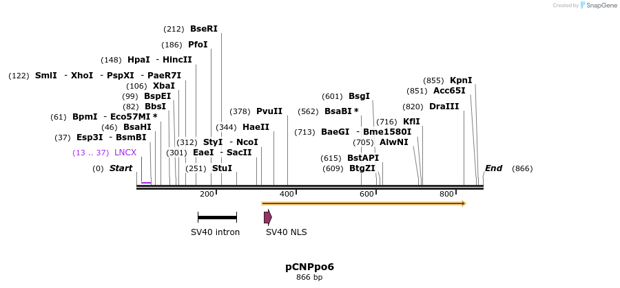 66629_map