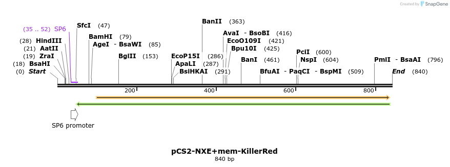 66632_map