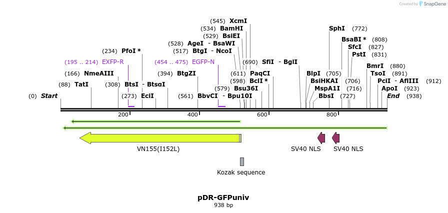 66643_map