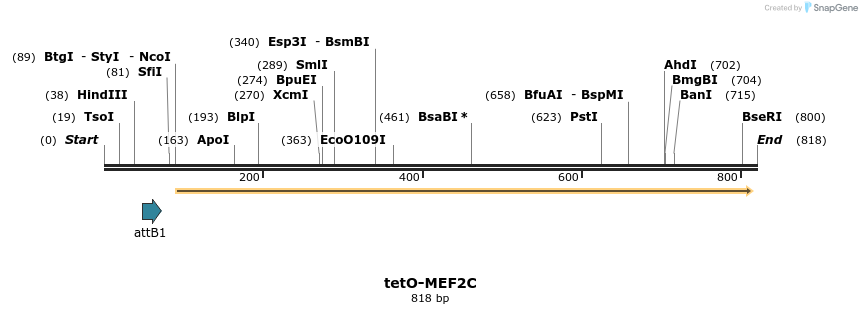 66645_map