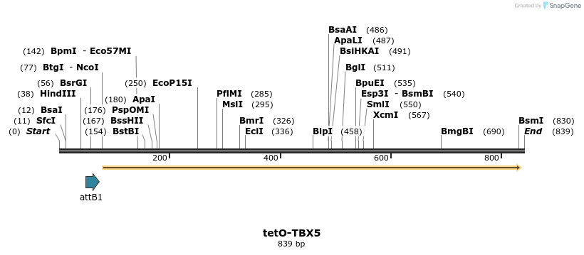 66647_map
