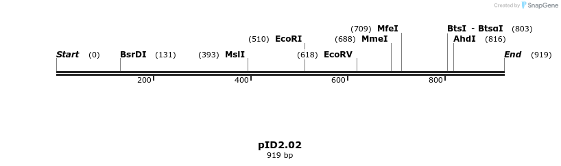 66651_map
