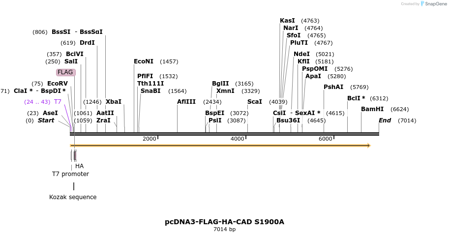 66660_map