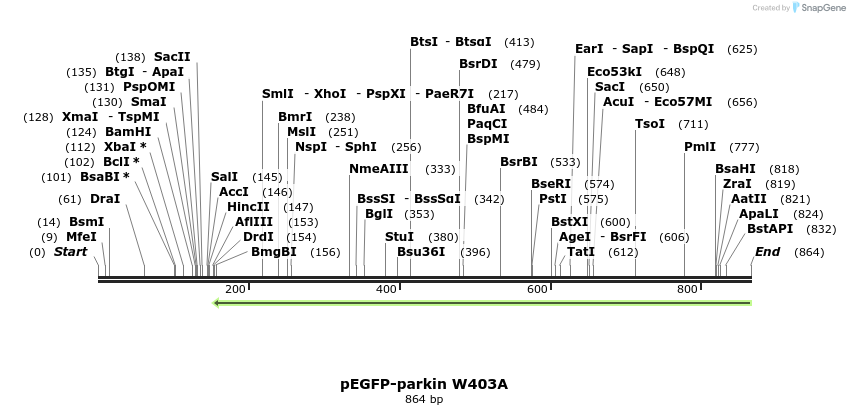 66663_map