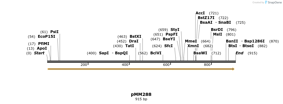 66674_map