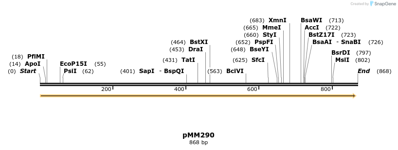 66675_map