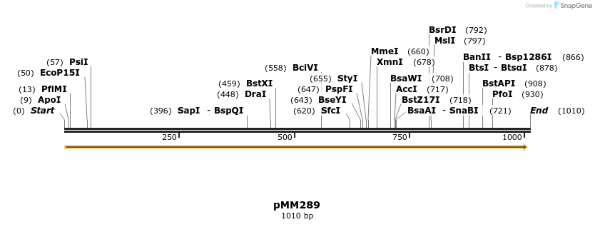 66687_map