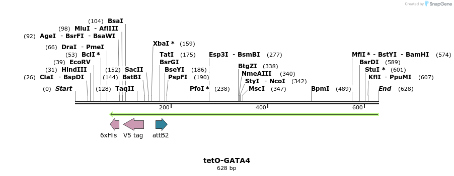 66689_map