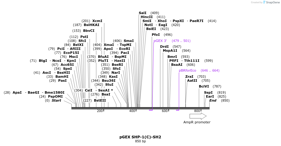 66702_map