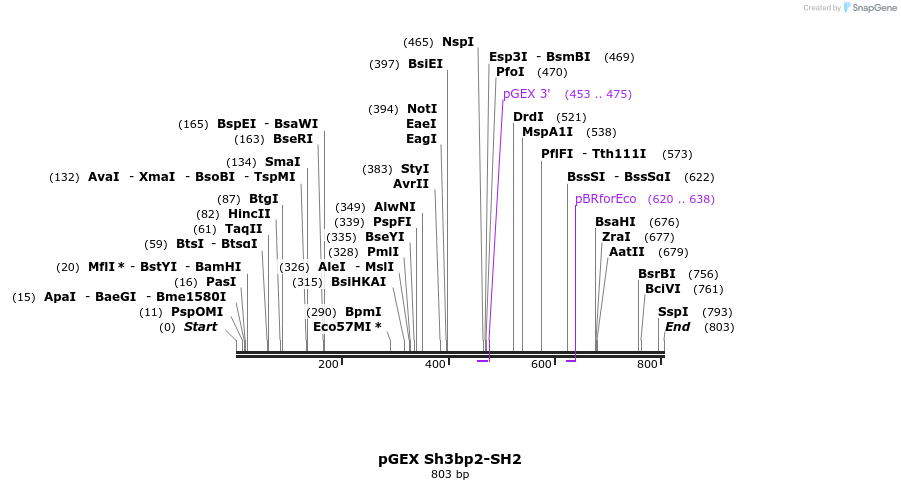 66704_map
