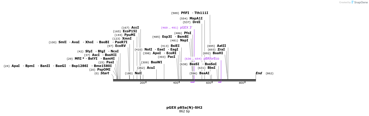 66706_map