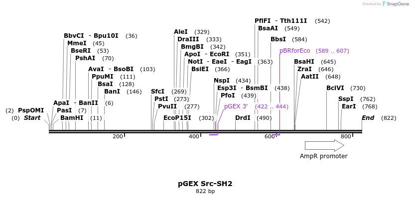 66712_map