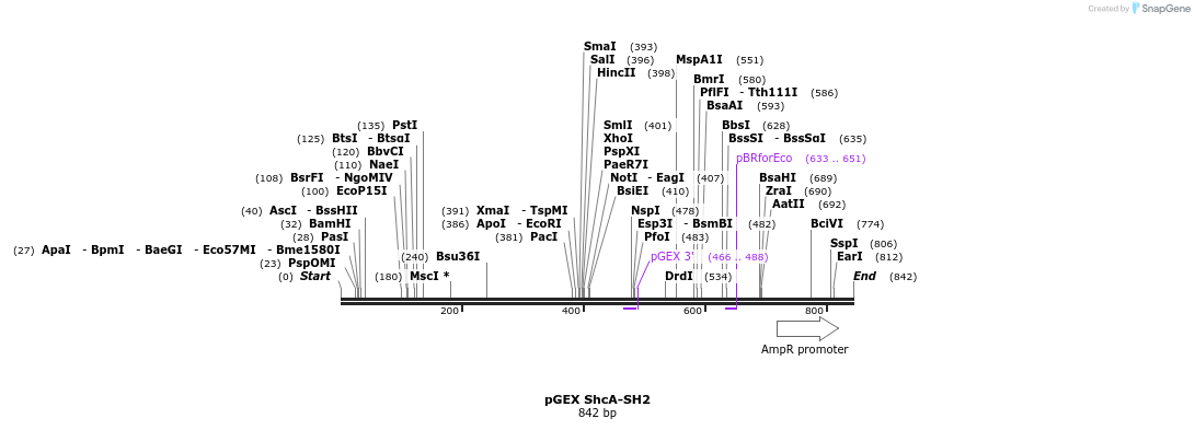 66713_map