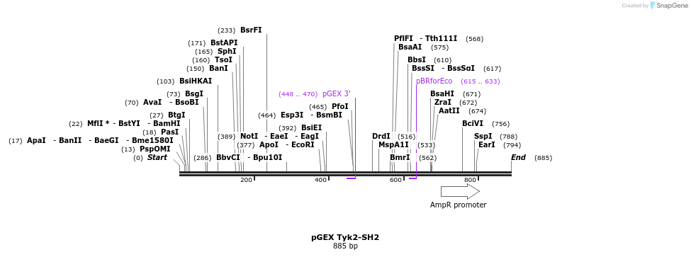 66716_map