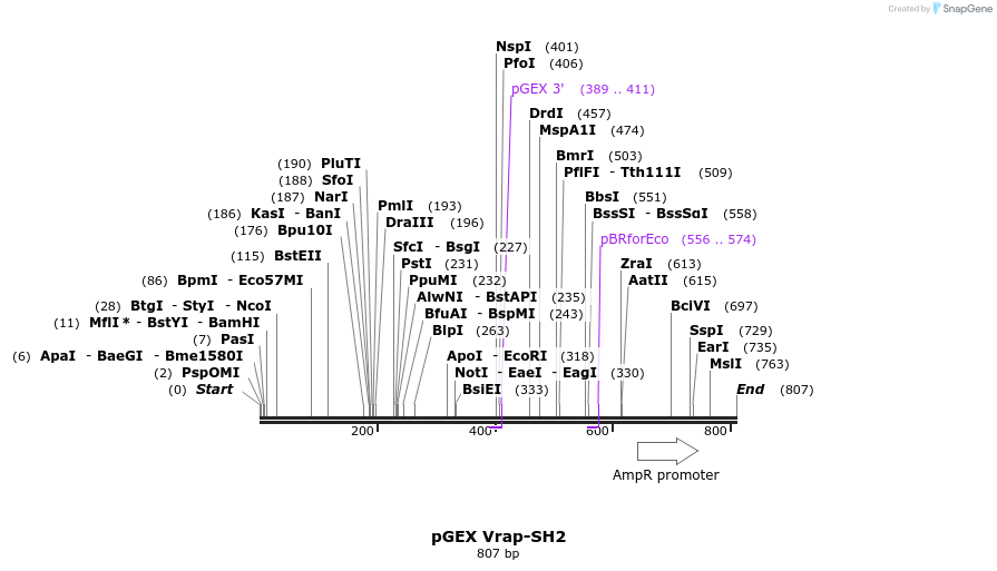 66720_map
