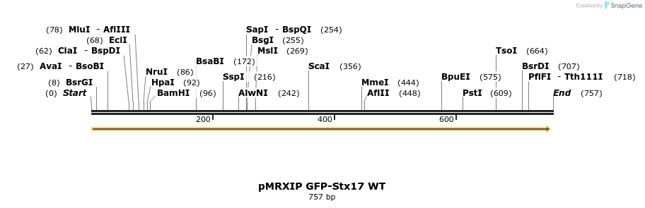 66721_map