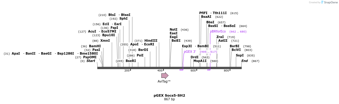 66722_map