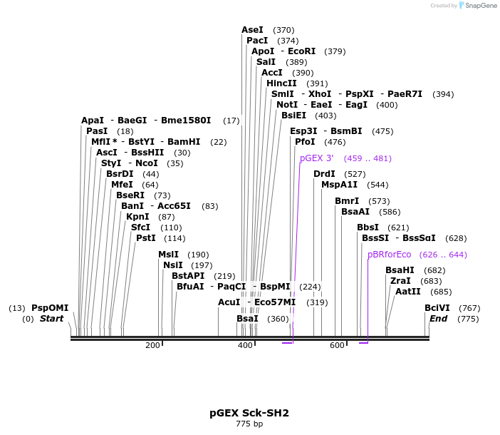 66724_map