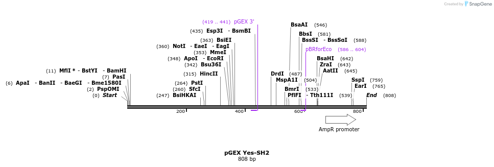 66725_map