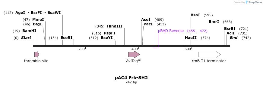 66726_map