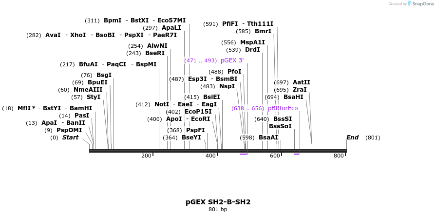 66727_map