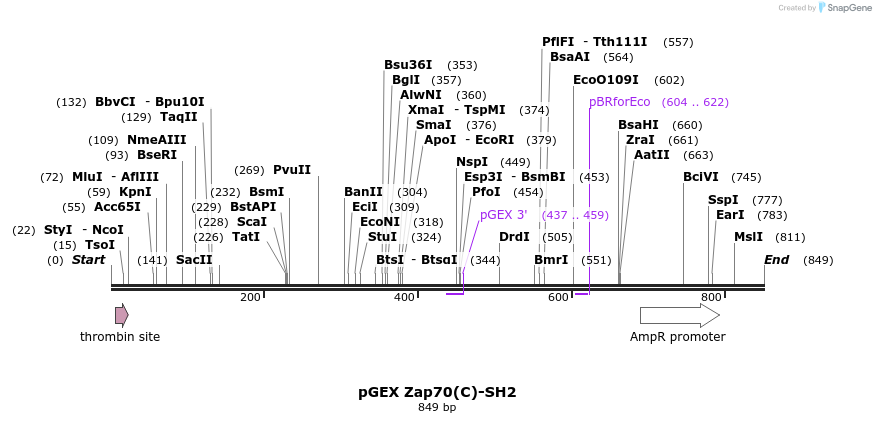 66728_map