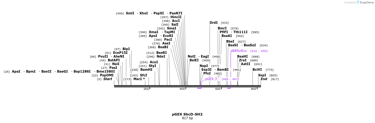 66729_map