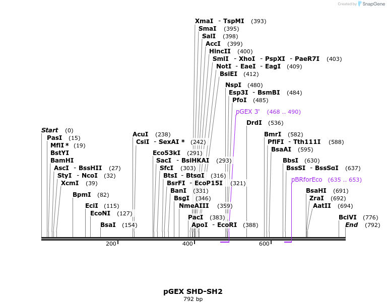 66732_map