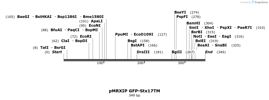 66734_map