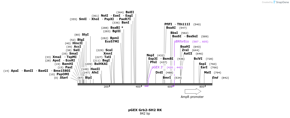 66738_map